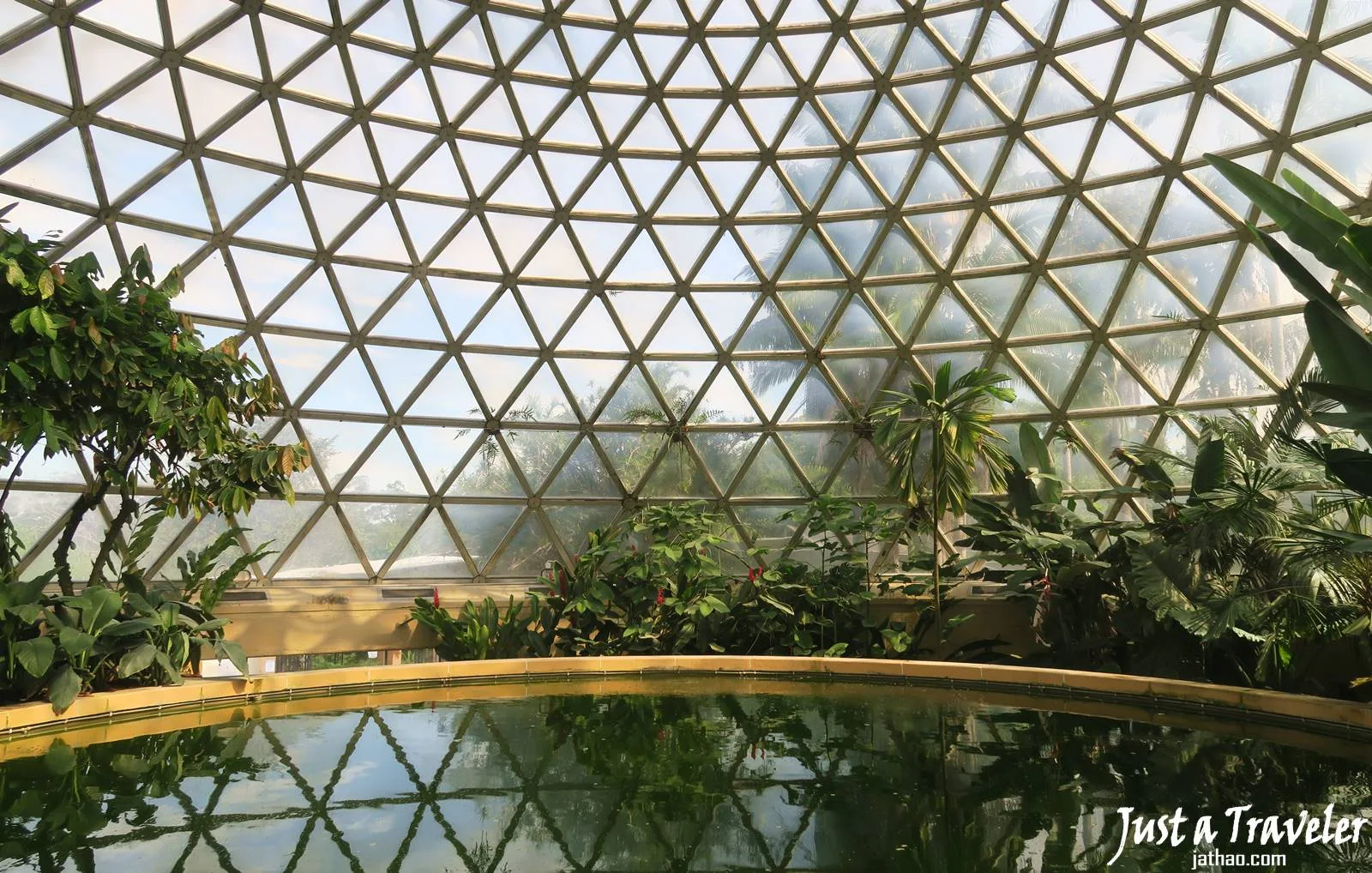 布里斯本-景點-庫薩山-市區-遊記-Tropical Display Dome-行程-Mt. Coot-Tha-Brisbane