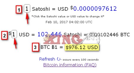 ما هو الساتوشي Satoshi البيتكوين كام ساتوشي البيتكوين كم دولار كينج نت