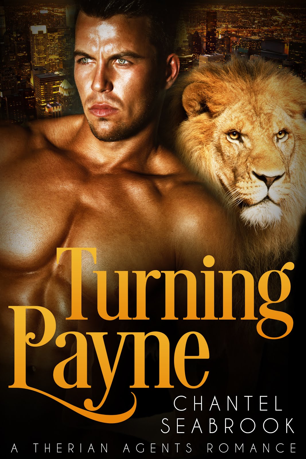 Chantel Seabrook's Turning Payne is a paranormal romance full of sexual tension, action and excitem