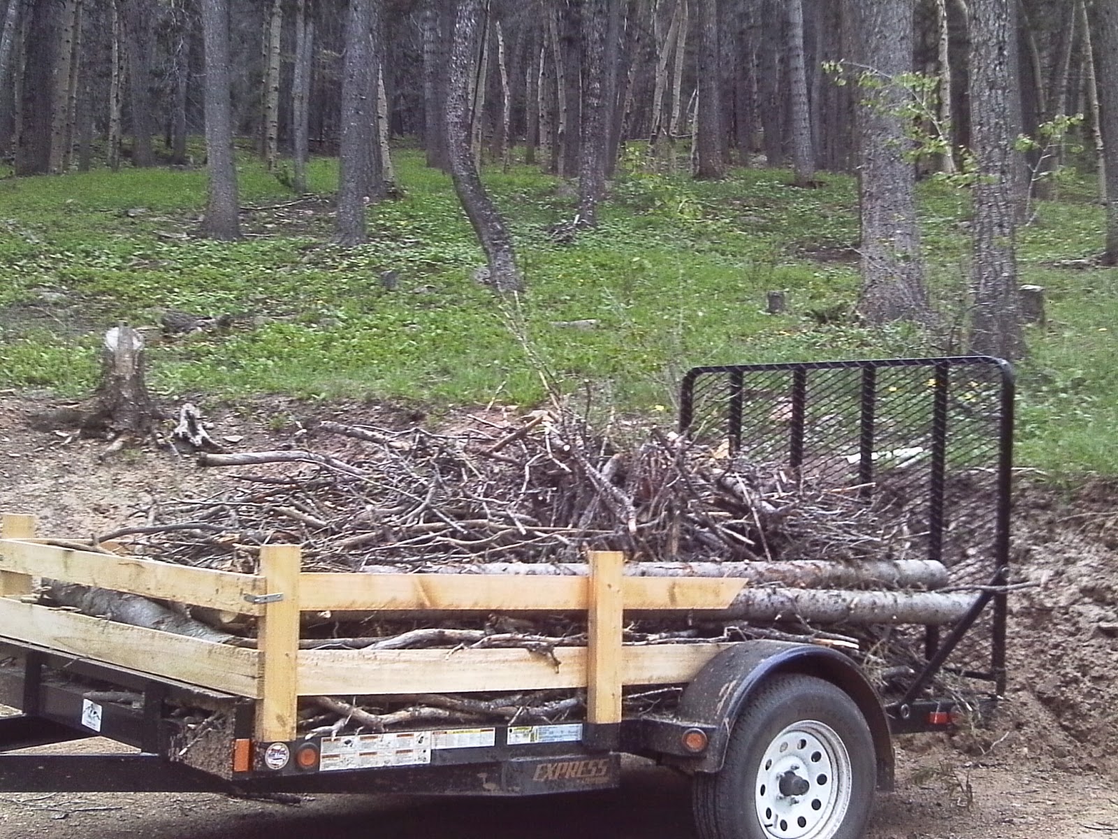 McElmurray's Mountain Retreat! Brush Disposal