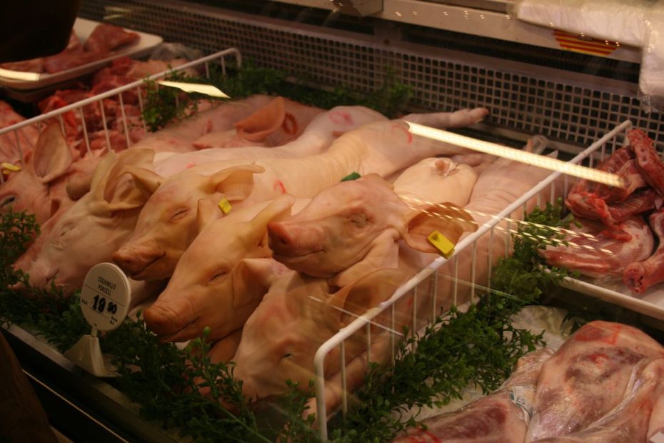 Cadáveres de cerditos de teta, a la venta en la carnicería de un supermercado en Barcelona, España.