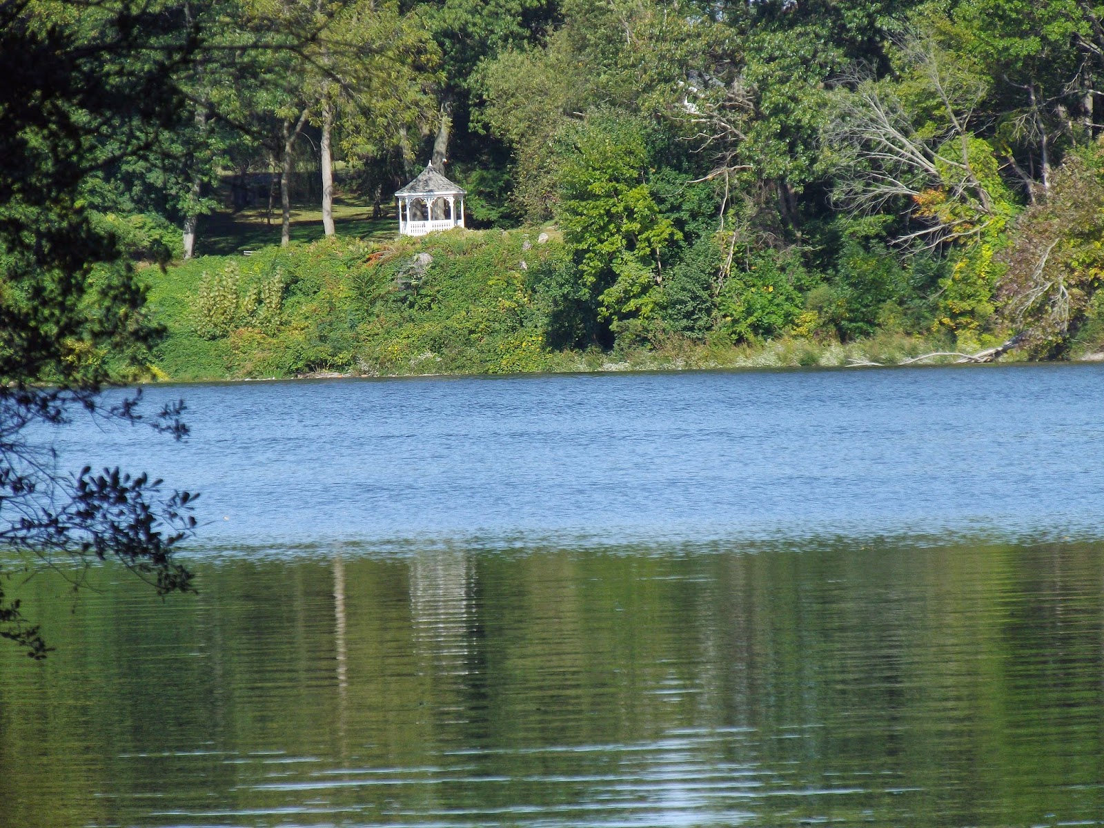 The Great Lakes of NYC Sheldrake Lake