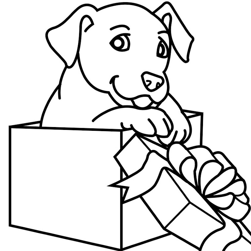 gift box digital coloring book illustration the puppy in the gift box  title=