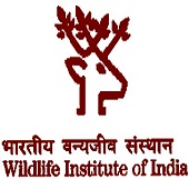 WII Dehradun Recruitment WII Dehradun Recruitment