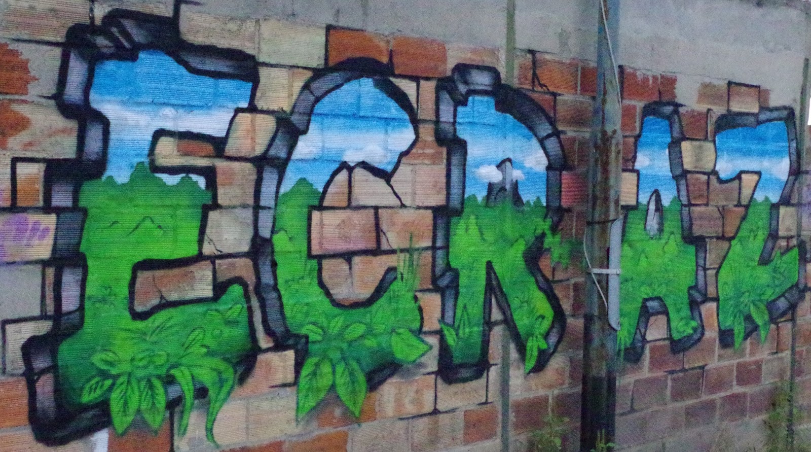 Interview Du Graffiti Artiste Vusuel Bomb Junkiz Crew Qalam La