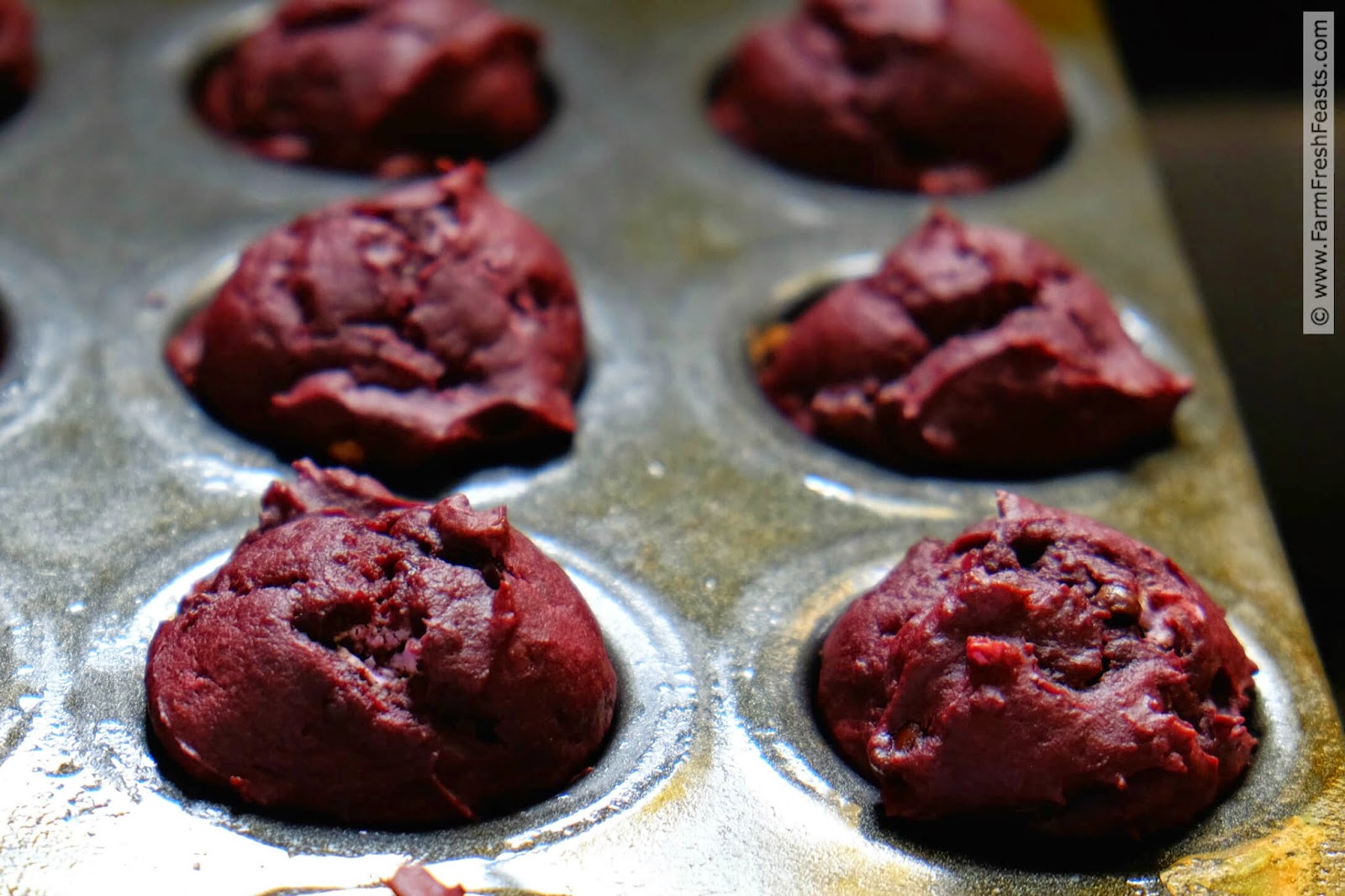 Farm Fresh Feasts Cocoa Beet Chocolate Chip Muffins (MuffinMonday)