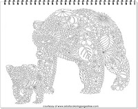 bear coloring pages for adult printable