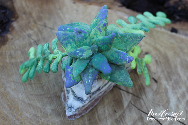 Hot glue succulents are a great accessory for mermaid, fairy or mother nature.