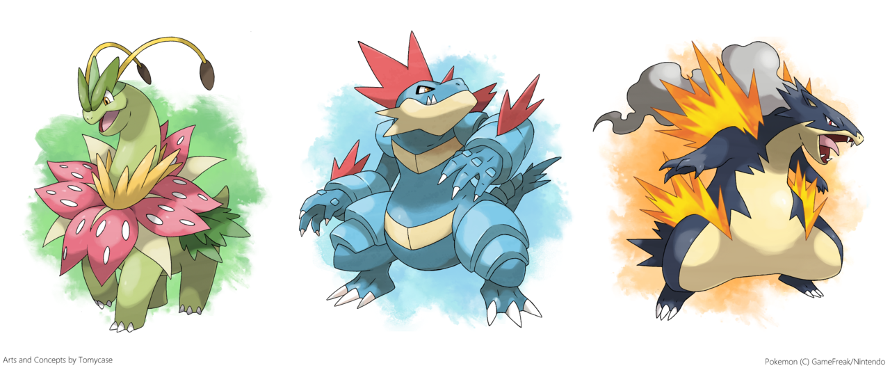 Pokemon X And Y Mega Evolution Typhlosion.