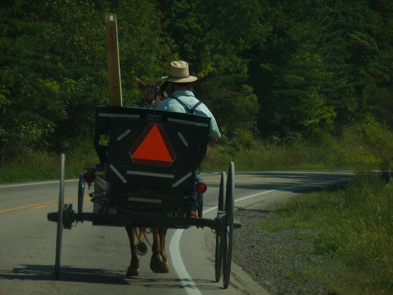 18: Holmes County - Driving me ... USA (4)