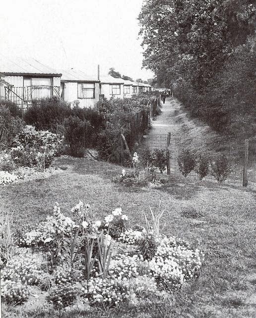 E7 Now & Then Wanstead Flats saved from post WW2 development plans