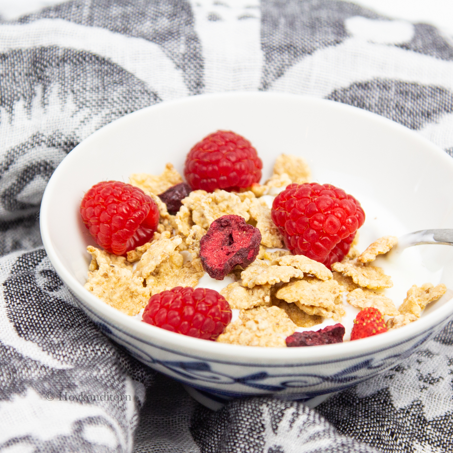 Cereal with FreezeDried Berries