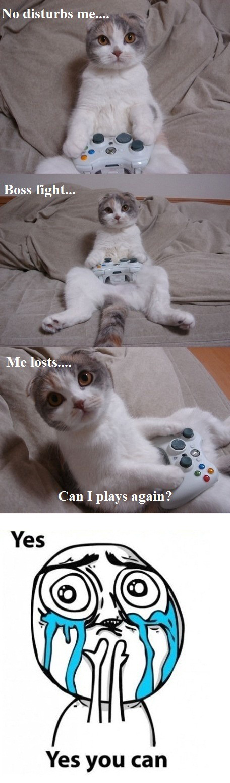 Cat Playing Video Game - Boss Fight
