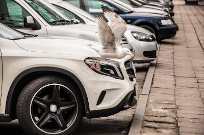 Donate Cars to Charity? One Car can Help the Person Heart Donate Cars to Charity? One Car can Help the Person Heart
