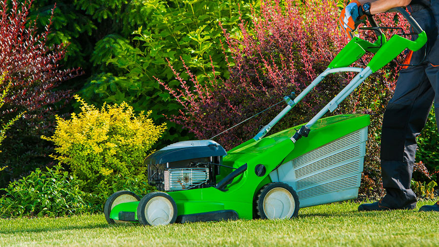 Marzua: Cómo cuidar el césped de su jardín para que esté perfecto en verano