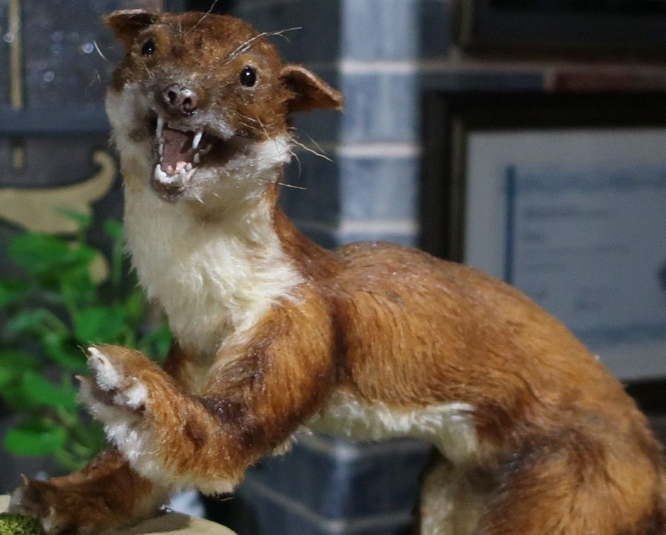 Coronation Street Blog Blog Exclusive Behind the scenes at Trim Up