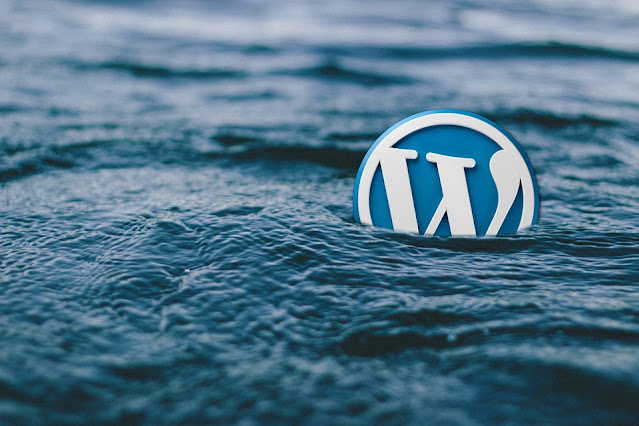 How to choose the best WordPress themes for your blog?