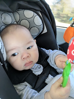 Baby T - Cars.com | 2012 Toyota Sienna | Kat Stays Polished