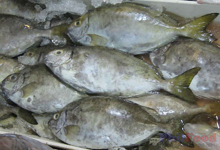 Danggit - Philippine fish