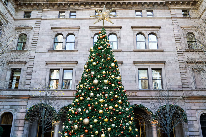 Christmas in New York City: Top 10 Things to Do | New York City Fashion and Lifestyle Blog ...