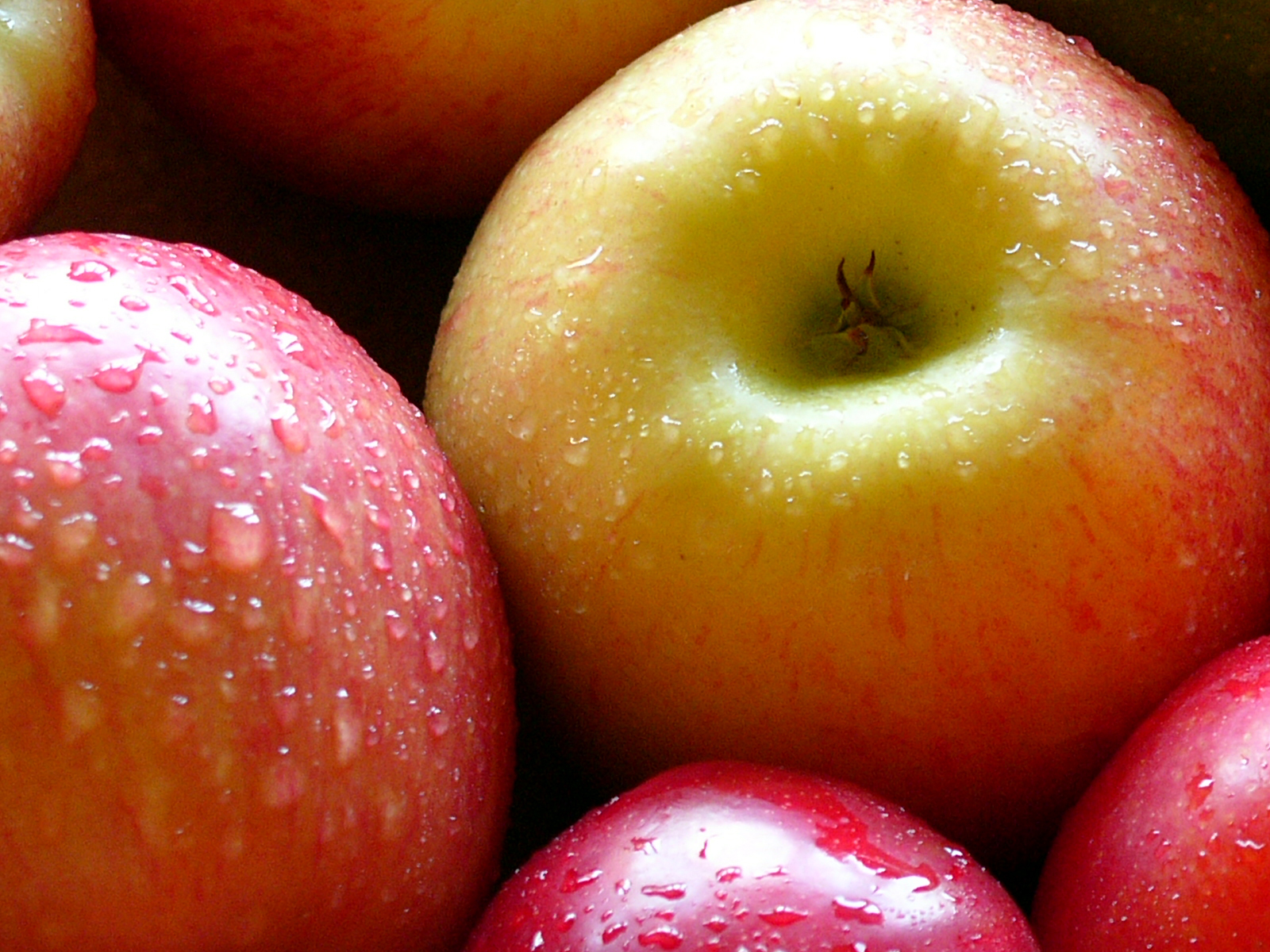 Можно есть яблоки утром. Яблоки обои. Польские яблоки. Яблоко богато. Биколорное яблоко.