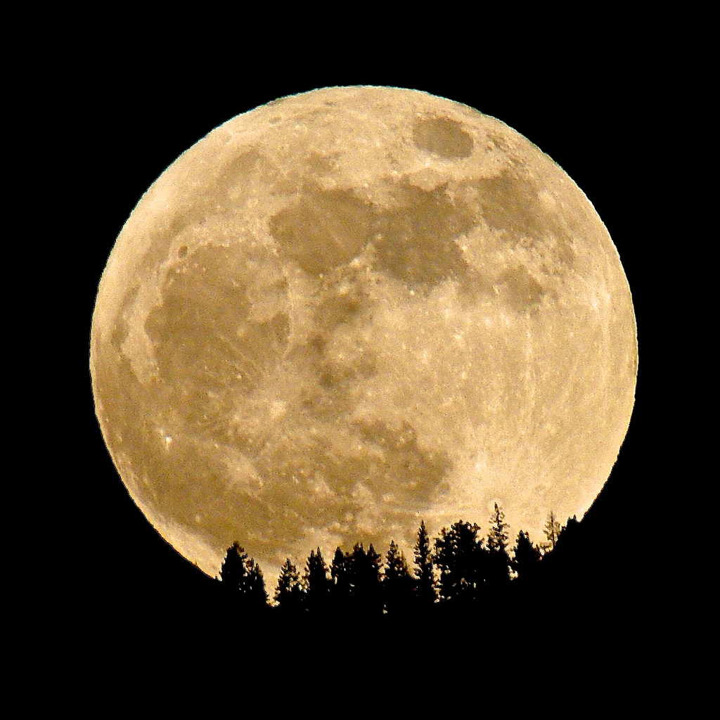 6 больших лун. Огромная Луна. Гигантская Луна. Изображение Луны. Снимок Луны.