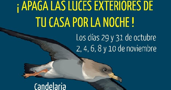 Grupo Local SEO-TINERFE