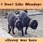 I Don't Like Monday's!!!