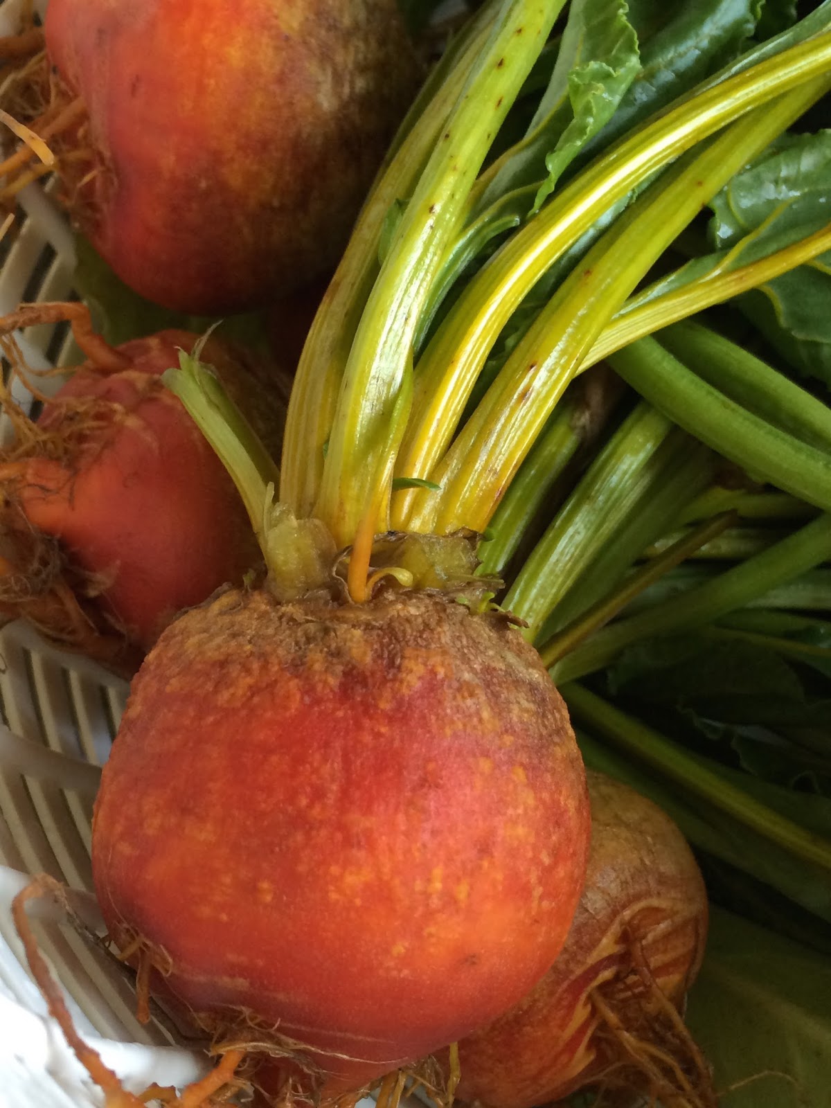 Pickled Golden Beets and Greens Recipe