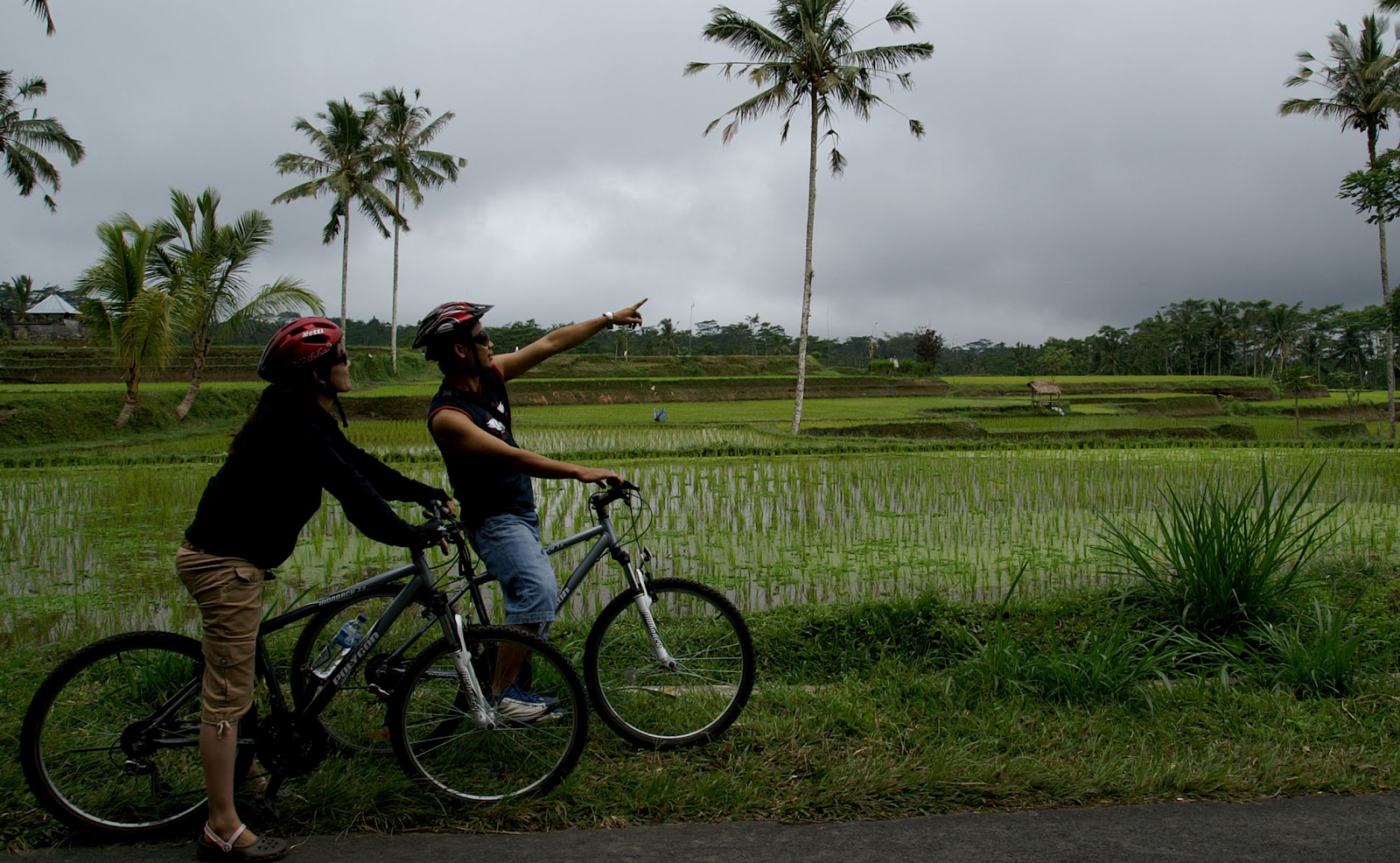 ubud cycling tour