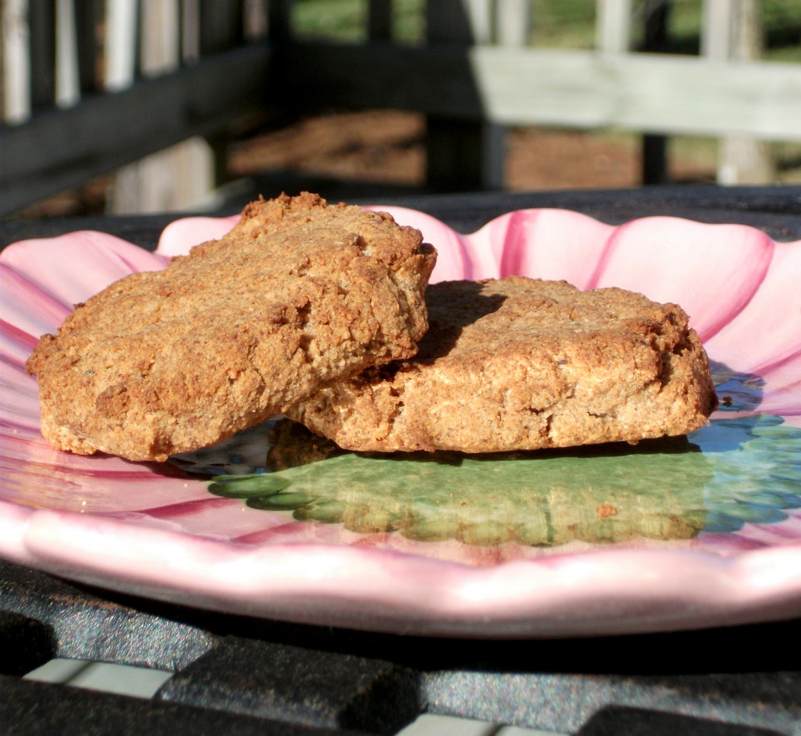 The GlutenFree 'Dish' Stop the Cravings Chia Biscuits(free of gluten