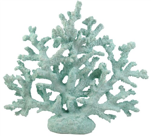Sea Foam Coral
