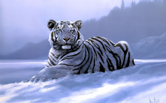 Fotos de Tigres Blancos en la Nieve - Imagenes de Animales Salvajes