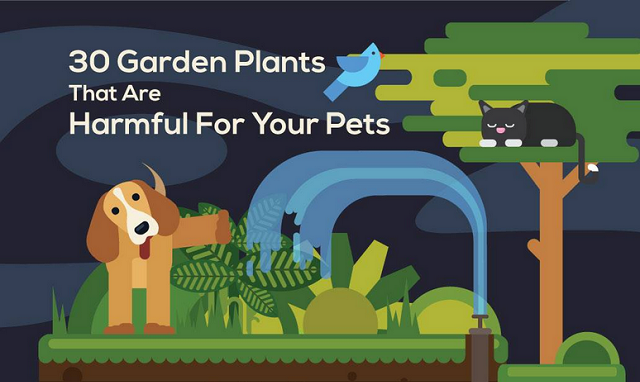 30 Garden Plants That Are Harmful for Pets