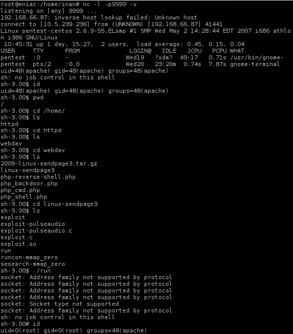 Host lookup. Uid root пользователя. Bind Shell, Reverse Shell. Защита. Получение доступа к командной строке Reverse Shell Linux. Os.execute.