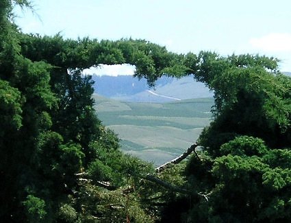 Natural Wallpaper Shop