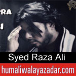 https://www.humaliwalyazadar.com/2018/09/syed-raza-ali-noha-2019.html