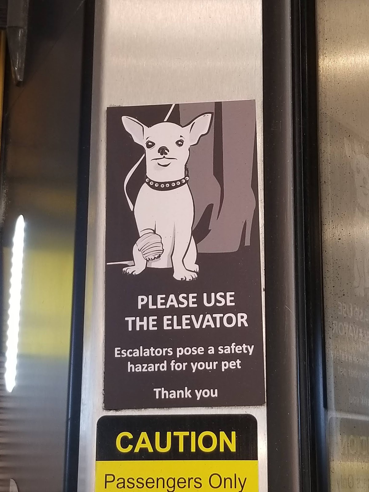 Things To Do In Los Angeles Small Dog Escalator Safety Signs Are Common Here