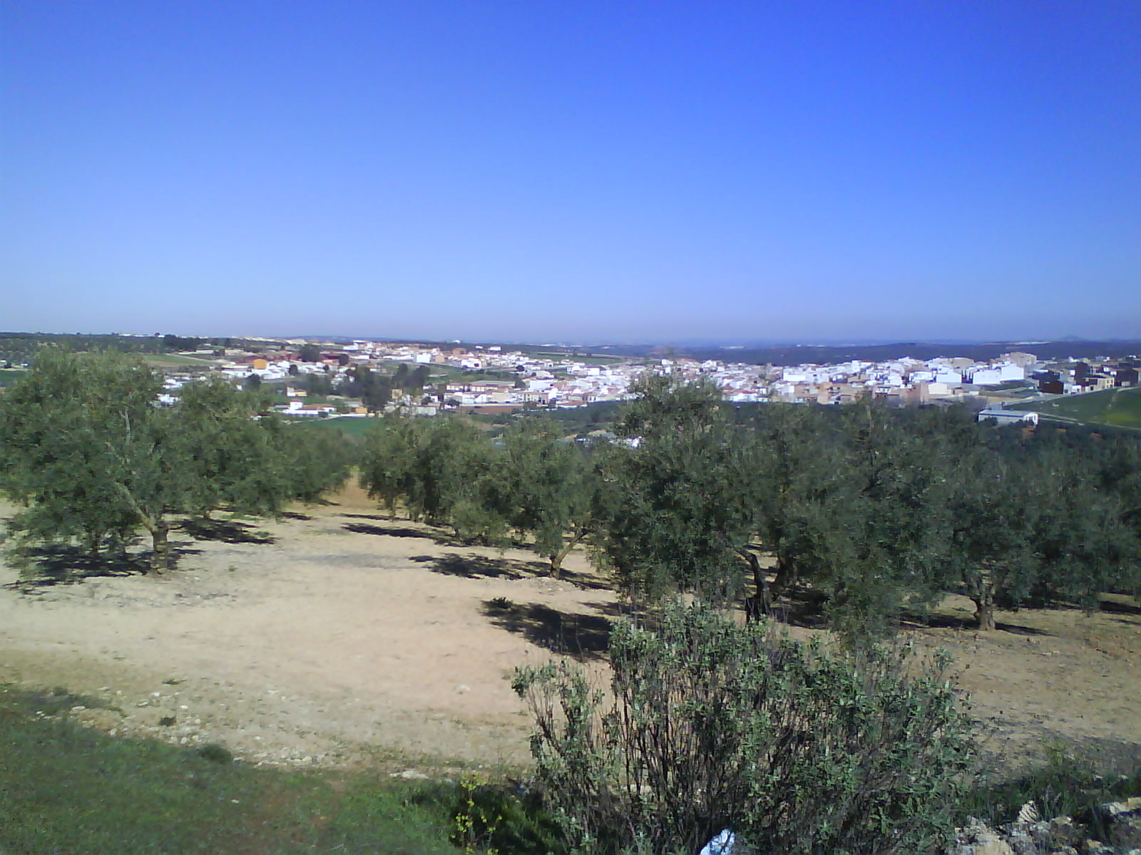CRÓNICAS DE CASARICHE 1CASARICHE
