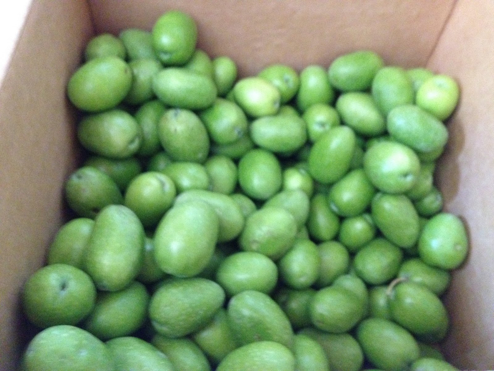 Curing Olives at HomePenna Foods Style Staying Close To Home