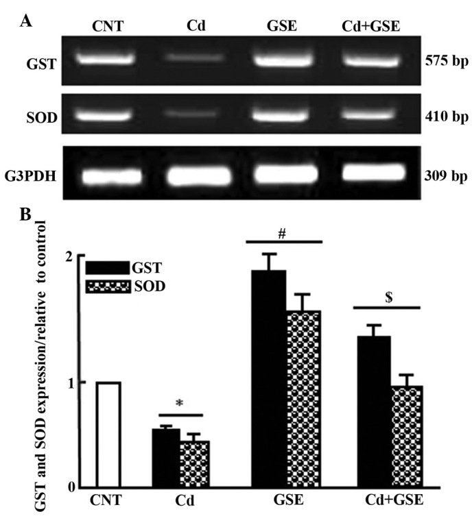 Apitherapy News Royal Jelly May Help Treat Infertility