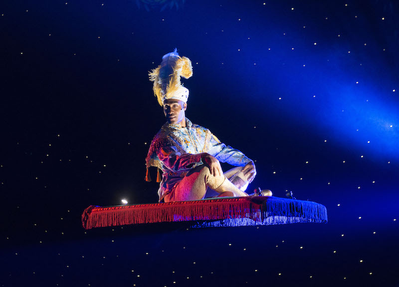 Relaxed Performance of Aladdin at Theatre Royal, Nottingham Milieu