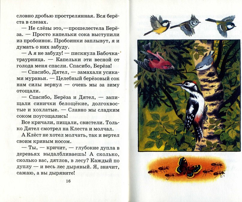 предложение про дятла. рассказ про дятла. рассказ про дятла. текст про дятла. плешаков зеленые страницы дятлы.