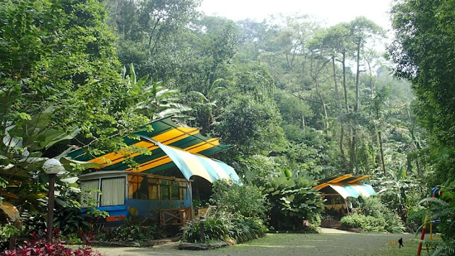 safari lodge caravan taman safari indonesia safari lodge caravan taman safari indonesia