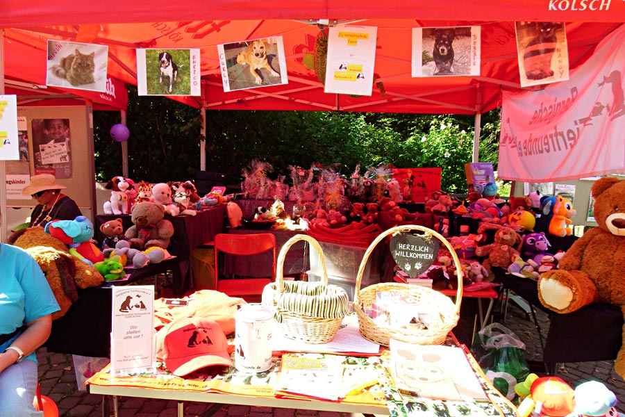 Glabbisch Schabbisch Von Hier Blickt Man Auf Koln Runter