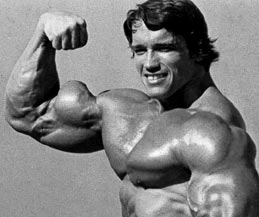 arn+mega+biceps.jpg