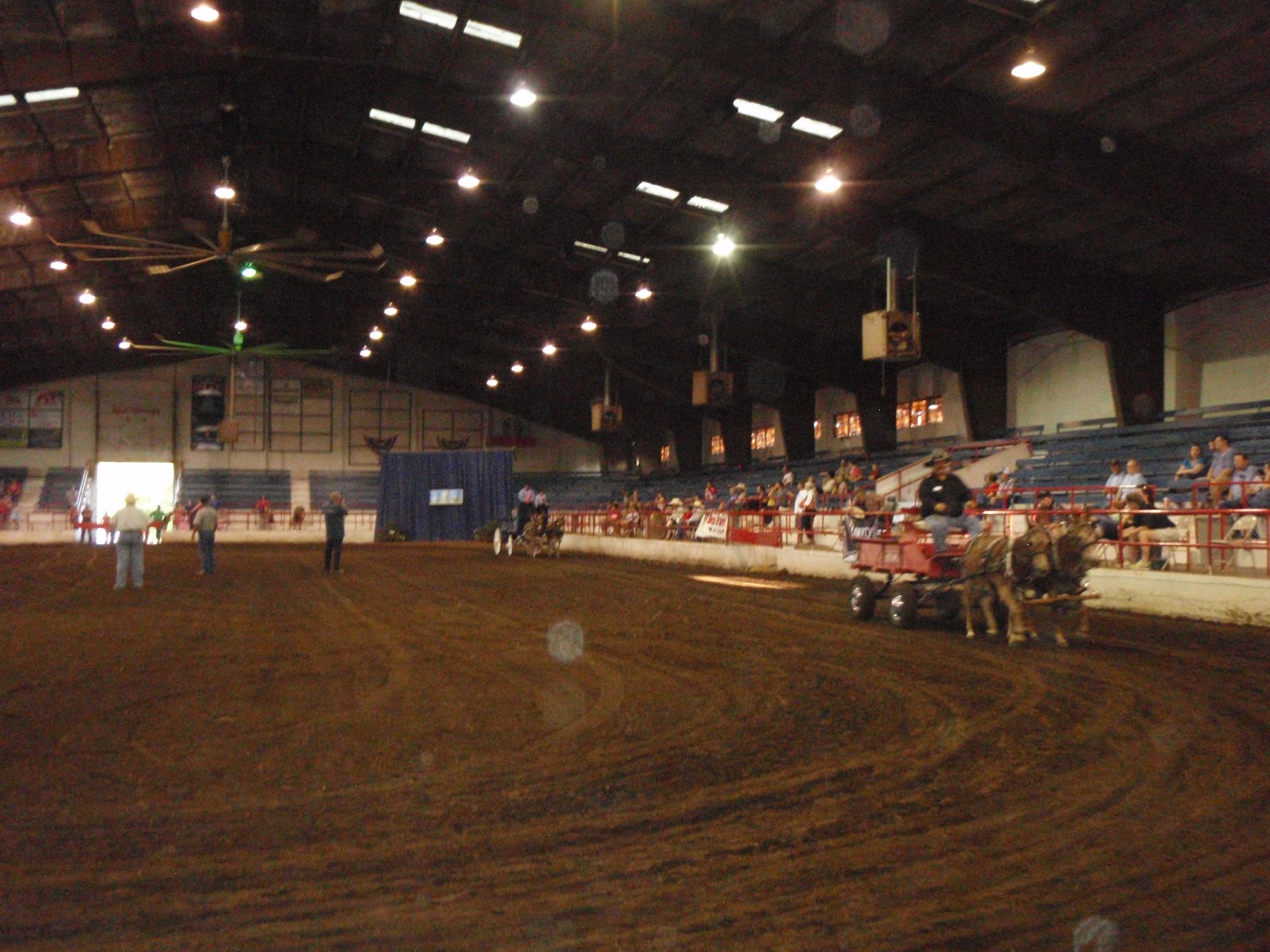 Wedded Bliss Road Pixie Dust Spreader on the TiltAWhirl