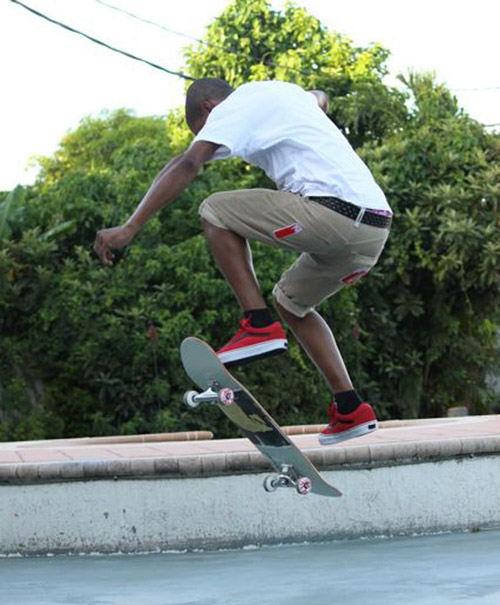 vans rodney mullen shoes