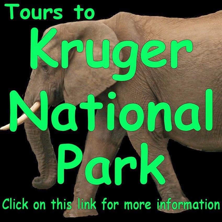 Tours to Kruger National Park