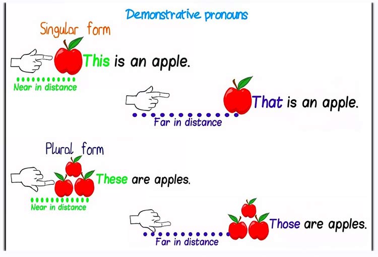 What are the 4 demonstrative pronouns picture